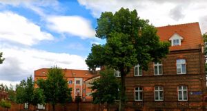 Notariusze Dębno | notariuszepl.top