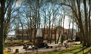 Notariusze Kartuzy | notariuszepl.top